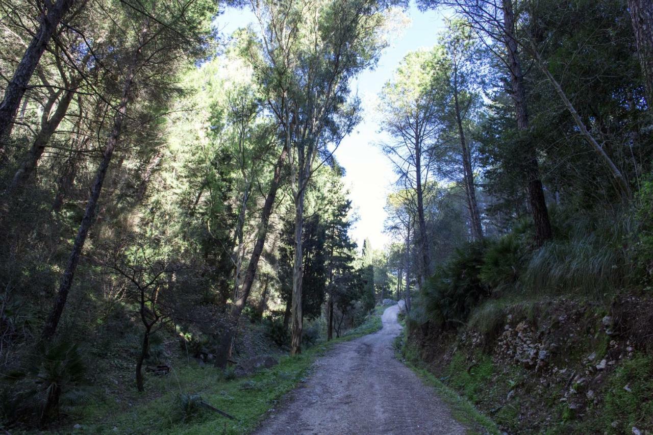 La Dimora Di Segesta B&B Calatafimi Exterior foto